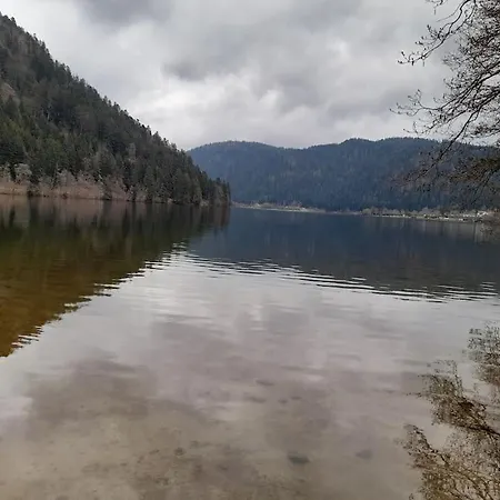 Apartment Xonrupt-gerardmer Xonrupt-Longemer